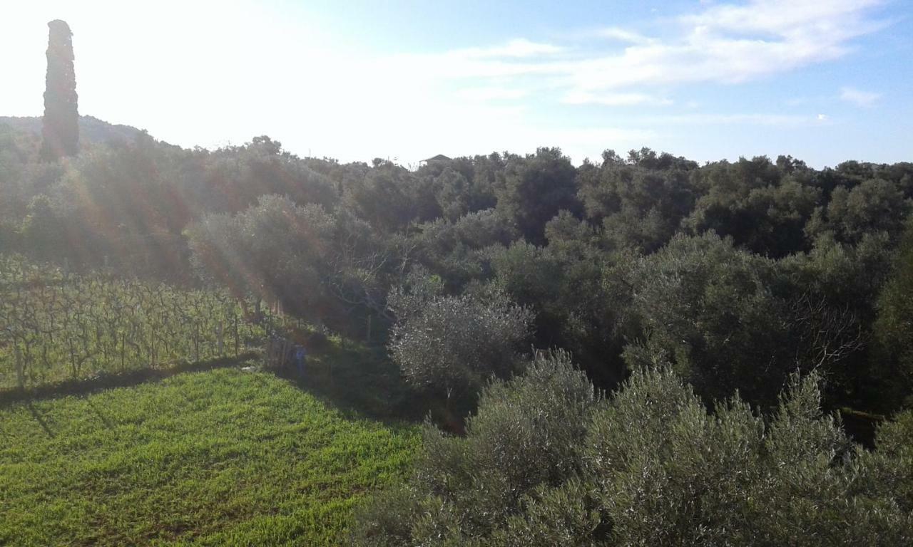 Apartment To Agridi